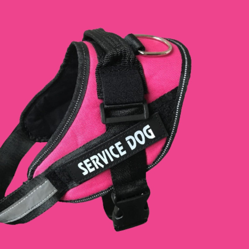 Personalised Dog Harness Reflective Breathable Adjustable for NO PULL Training