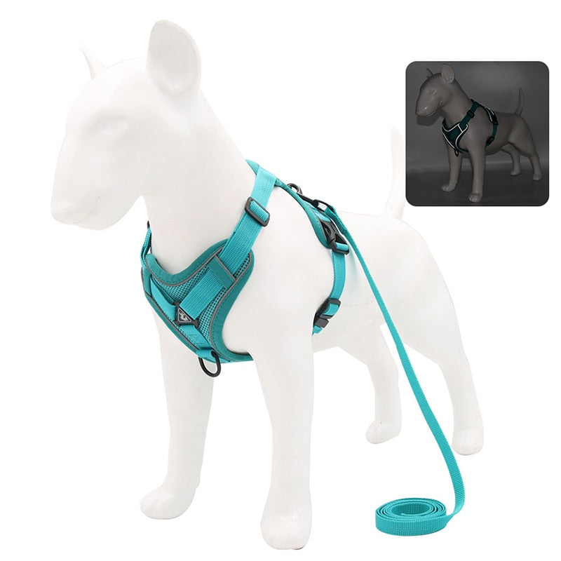 No Pull Dog Harness and Lead Set Adjustable Vest For Small Dogs with Reflective Mesh