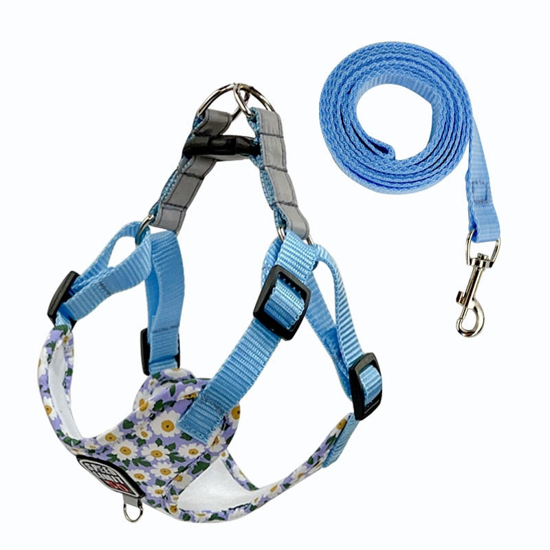 No Pull Dog Harness & Lead Set for Small Medium Dogs with Reflective Harness Vest