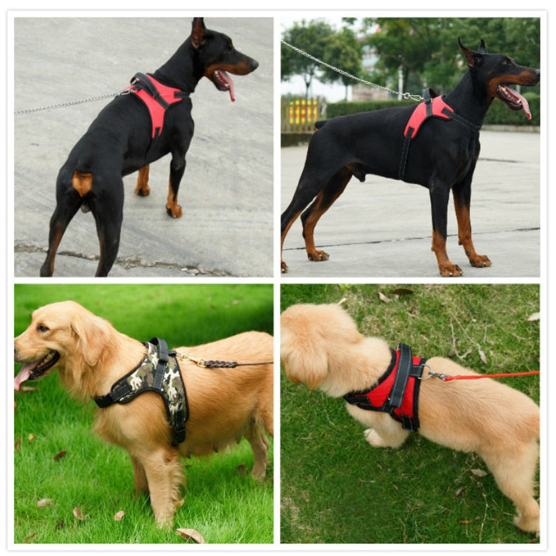 Nylon Heavy Duty Dog Harness Padded