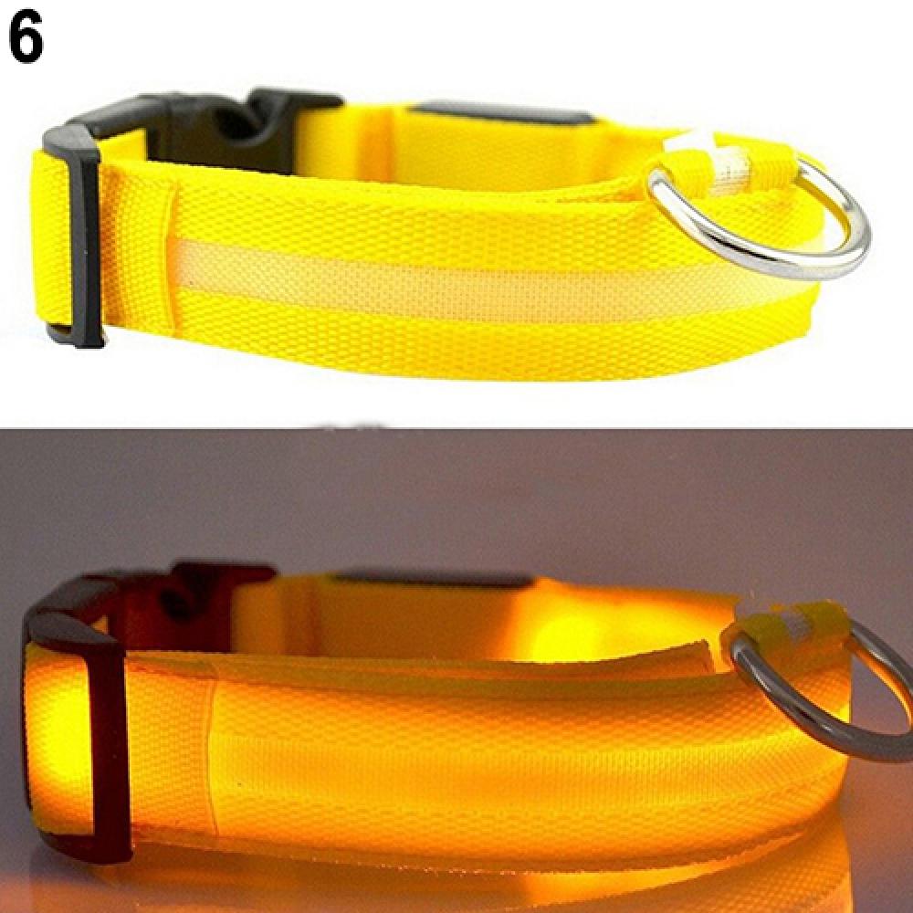 LED Dog Anti-lost Collar Glowing Luminous LED Light