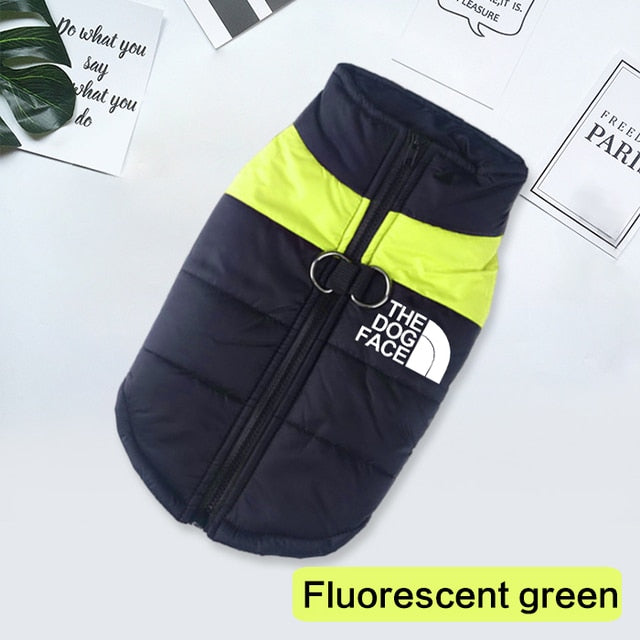 The Dog Face Waterproof Warm Dog Padded Zipper Jacket
