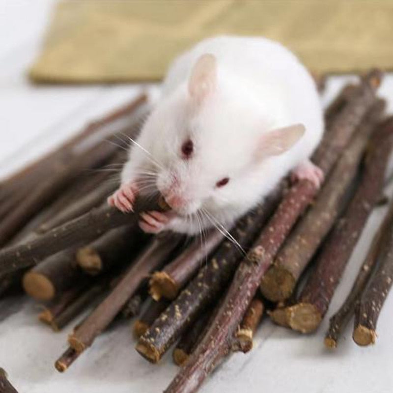 Teeth Grinding Apple Tree Stick with Minerals For Hamsters and Other Small Rodents