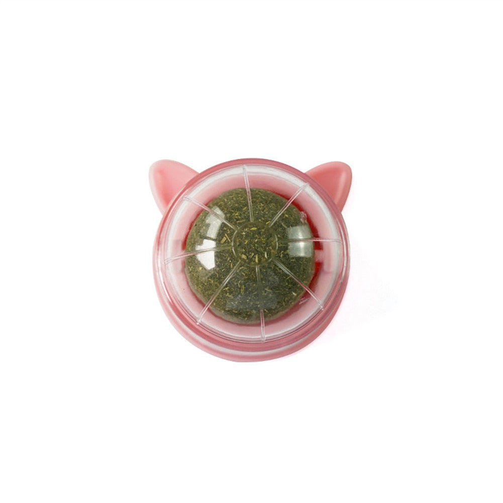 100% All Natural Catnip Wall Ball to Clean Mouths & Promote Digestion
