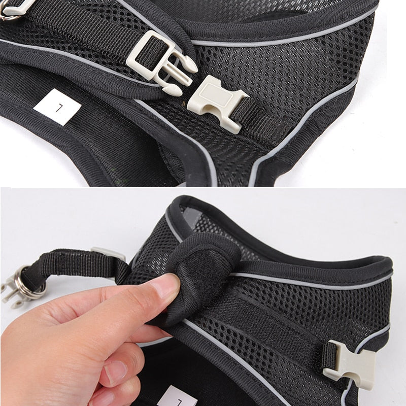 Dog Harness & Lead Set for Small Dogs Fully Adjustable