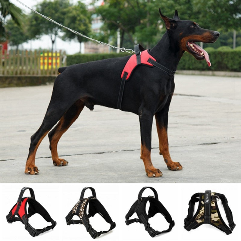 Nylon Heavy Duty Dog Harness Padded