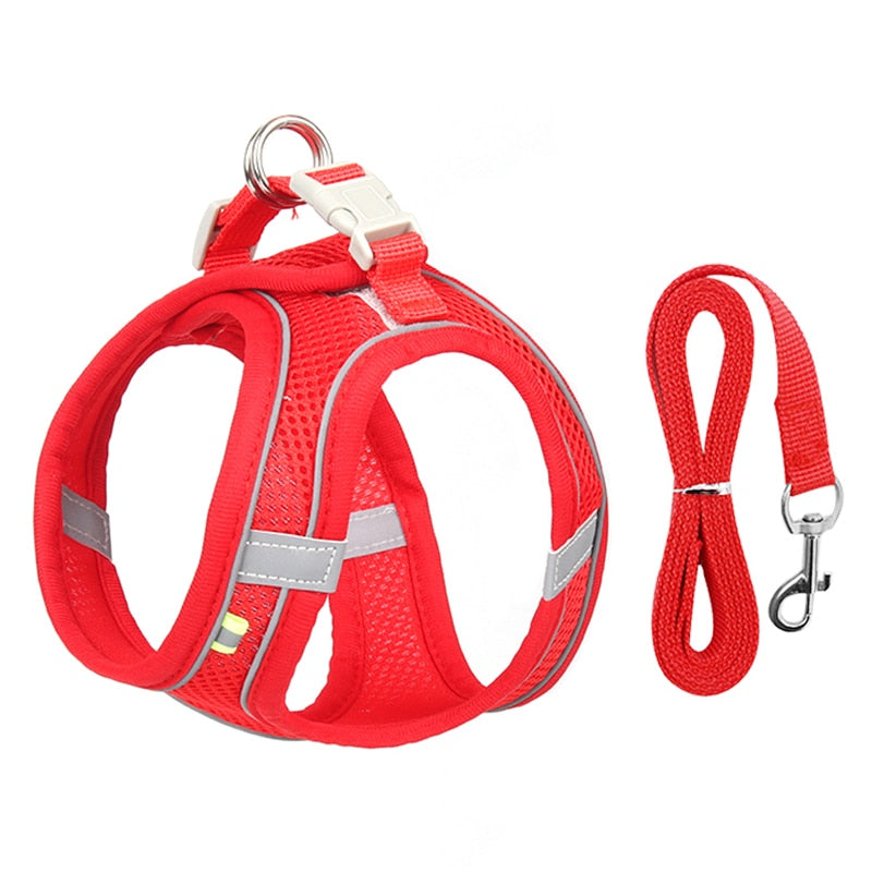 Dog Harness & Lead Set for Small Dogs Fully Adjustable