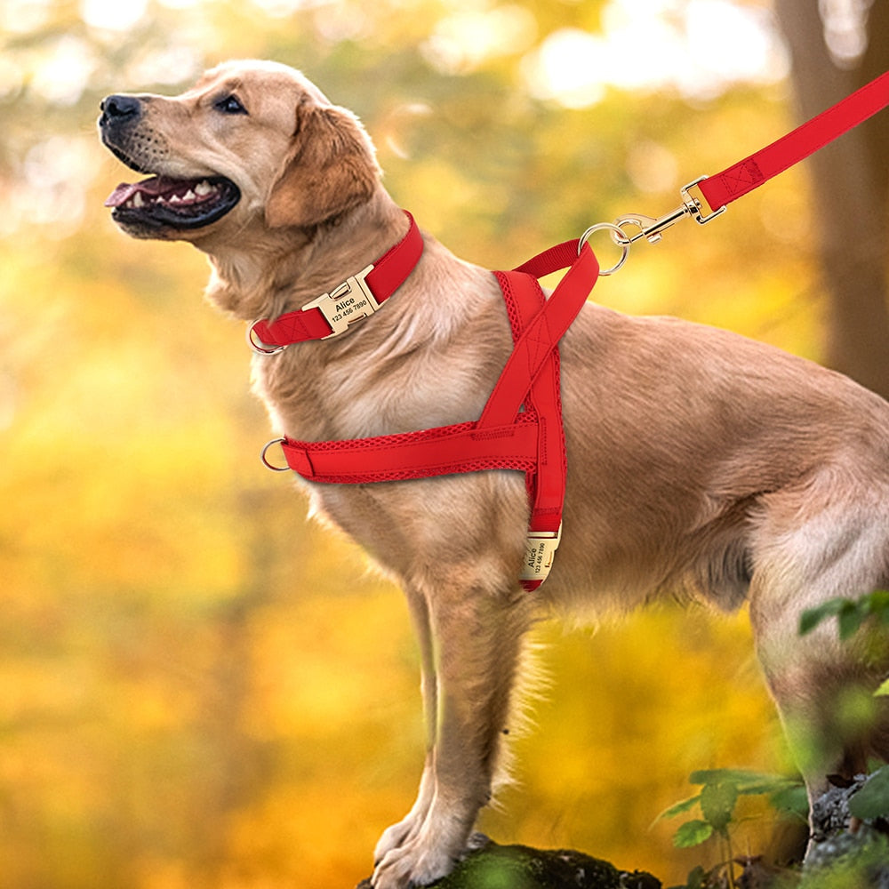 Customized Leather Dog Collar, Harness & Lead Set Personalised For Small Medium Large Dogs