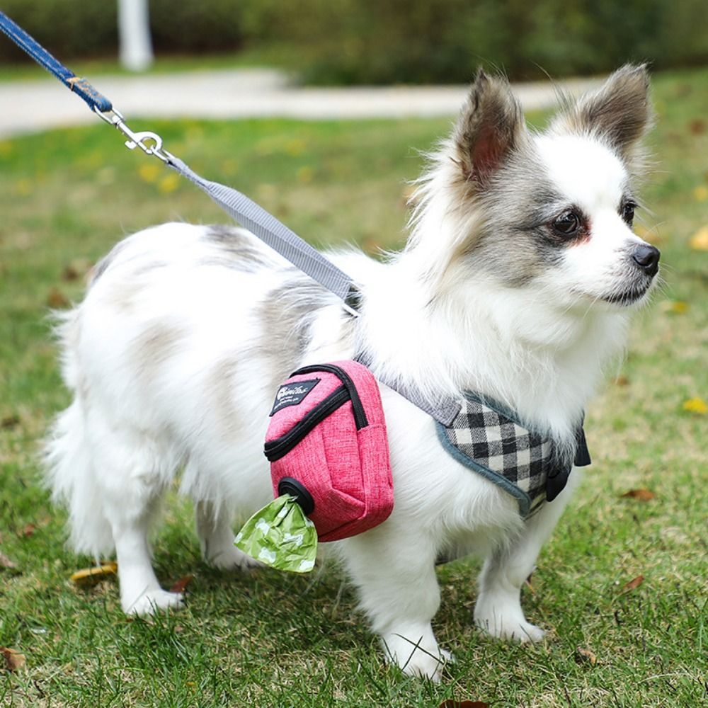 Portable Dog Training Treat Bag & Poop Bag Dispenser