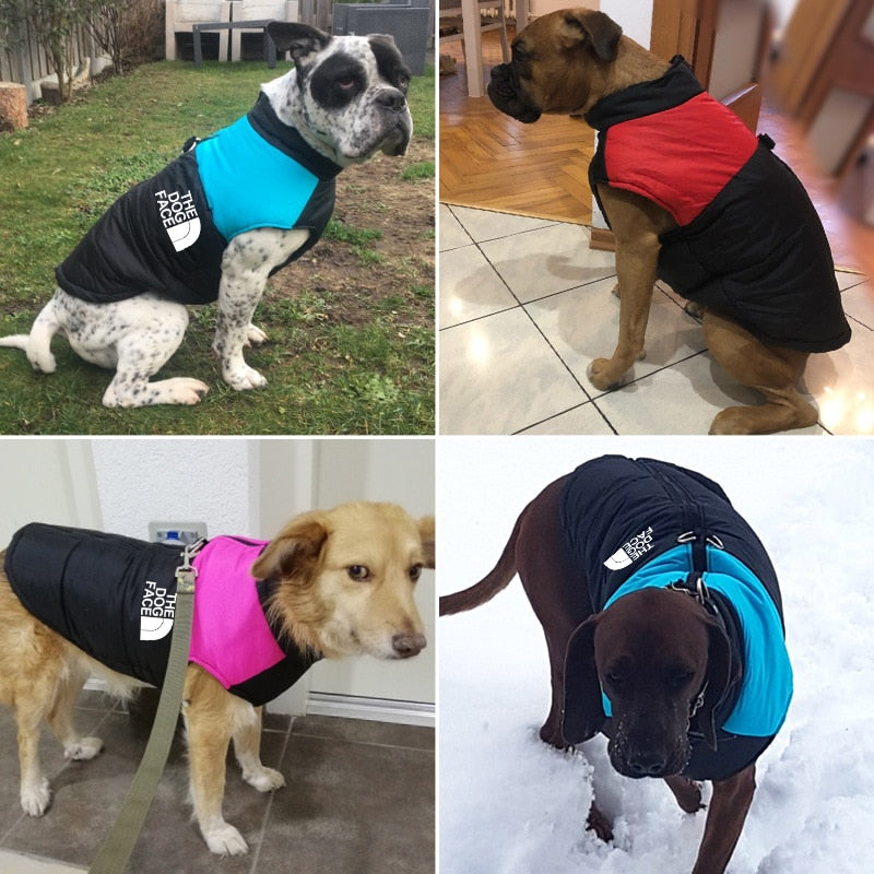 The Dog Face Waterproof Warm Dog Padded Zipper Jacket