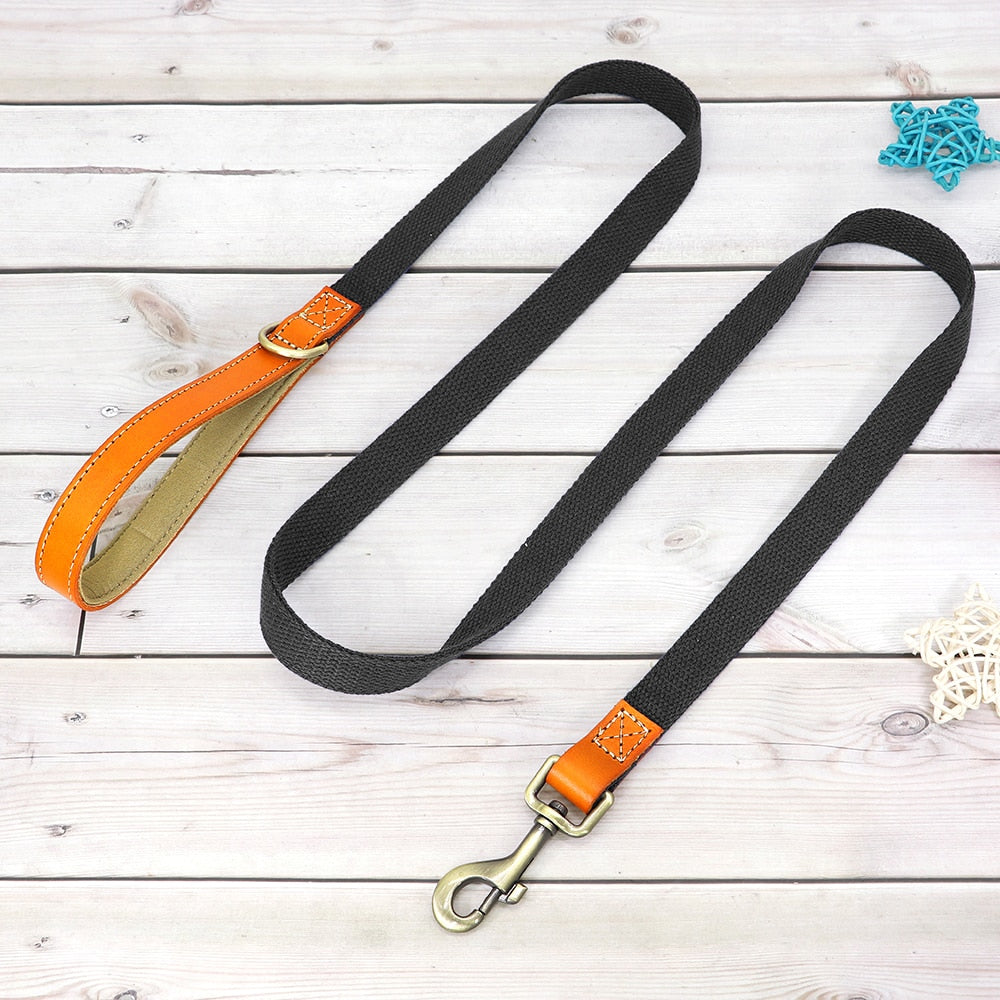 Nylon Custom Dogs Puppies Collar & Lead Set Personalized Genuine Leather