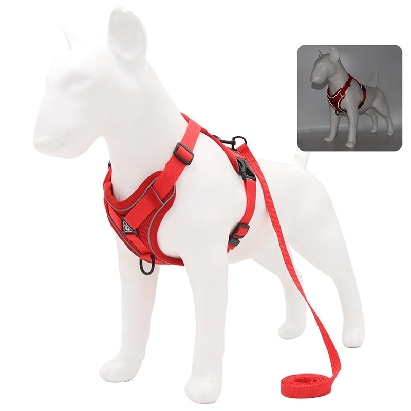 No Pull Dog Harness and Lead Set Adjustable Vest For Small Dogs with Reflective Mesh