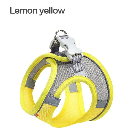 Dog Harness & Lead Reflective Breathable Adjustable for Small Medium Dogs