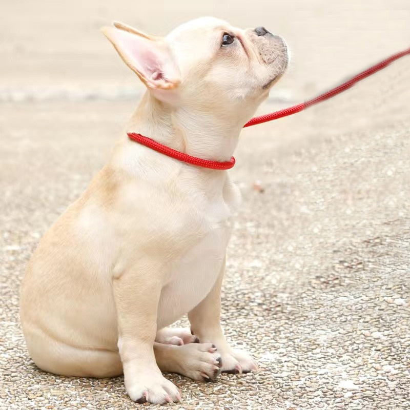 Small Dog/Puppy Nylon Adjustable Lead( Size: 130cm)