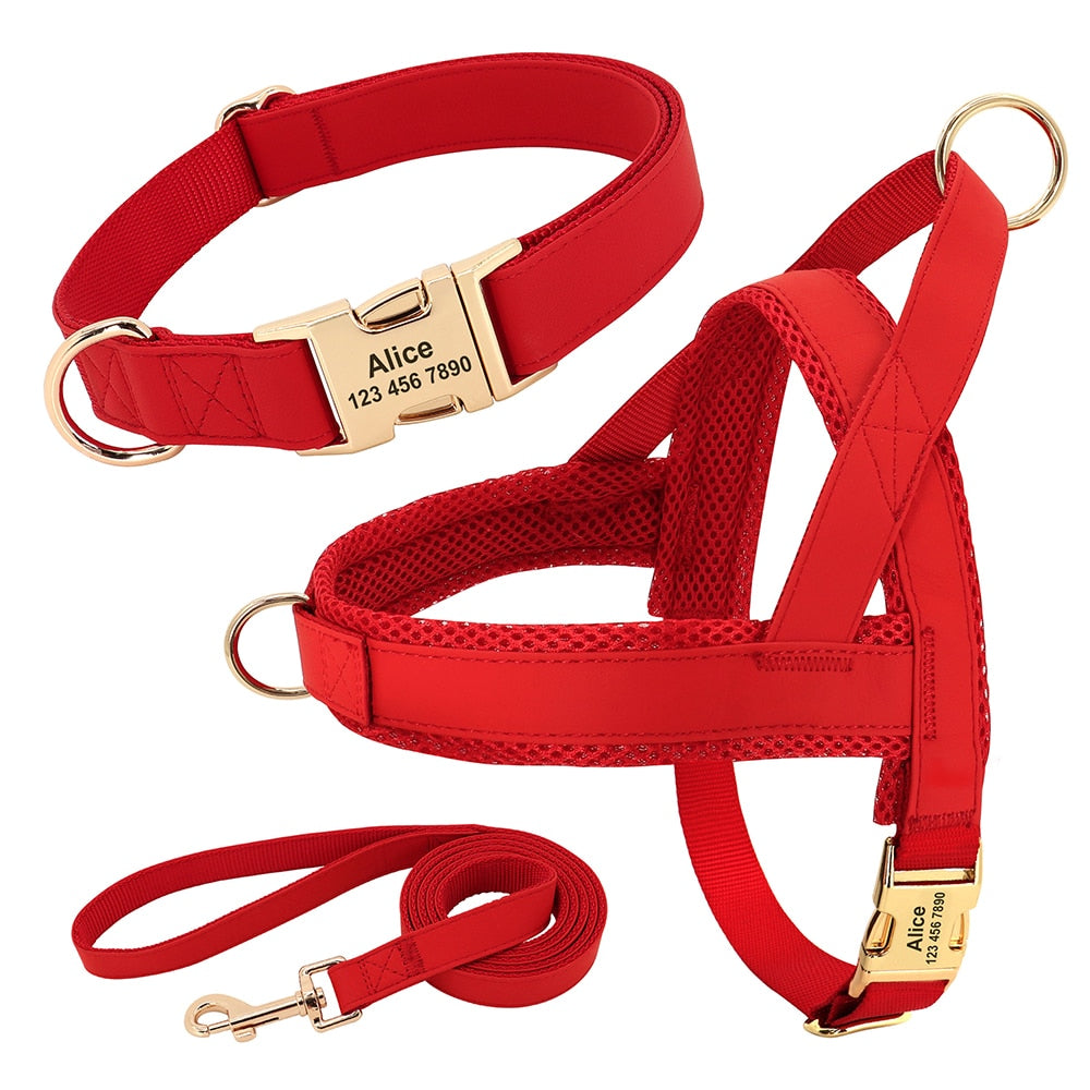 Customized Leather Dog Collar, Harness & Lead Set Personalised For Small Medium Large Dogs
