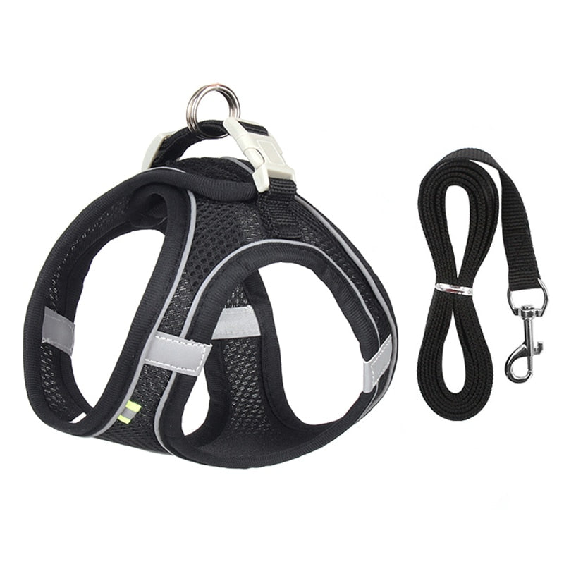 Dog Harness & Lead Set for Small Dogs Fully Adjustable