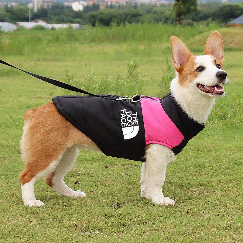 The Dog Face Waterproof Warm Dog Padded Zipper Jacket