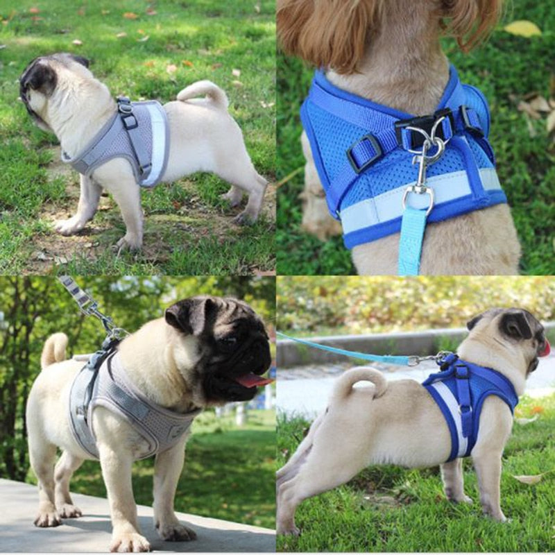 Adjustable Mesh Comfort Dog Harness With Lead(Available in multiple sizes and colours)