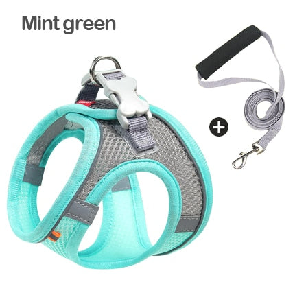 Dog Harness & Lead Reflective Breathable Adjustable for Small Medium Dogs