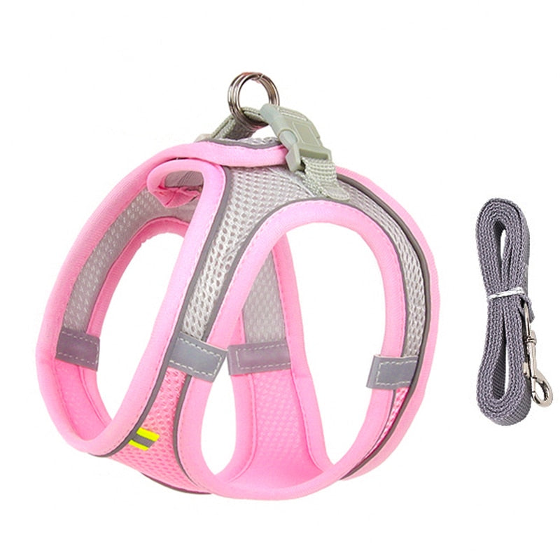 Dog Harness & Lead Set for Small Dogs Fully Adjustable