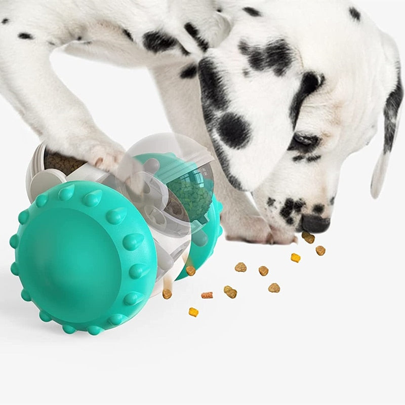 Snacks & Treats Dispenser for Dogs, Puppies, Cats & Kittens
