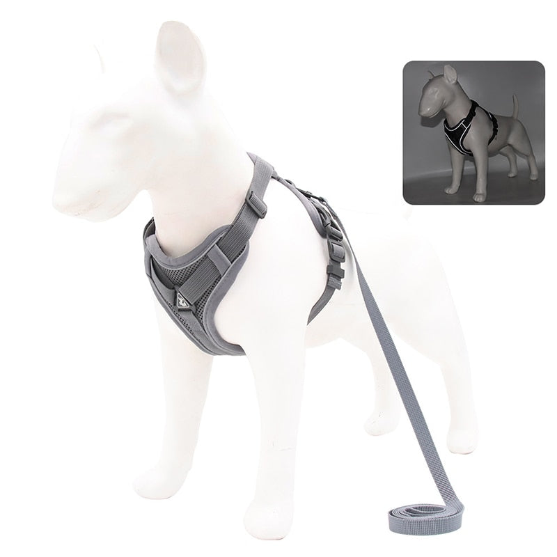 No Pull Dog Harness and Lead Set Adjustable Vest For Small Dogs with Reflective Mesh