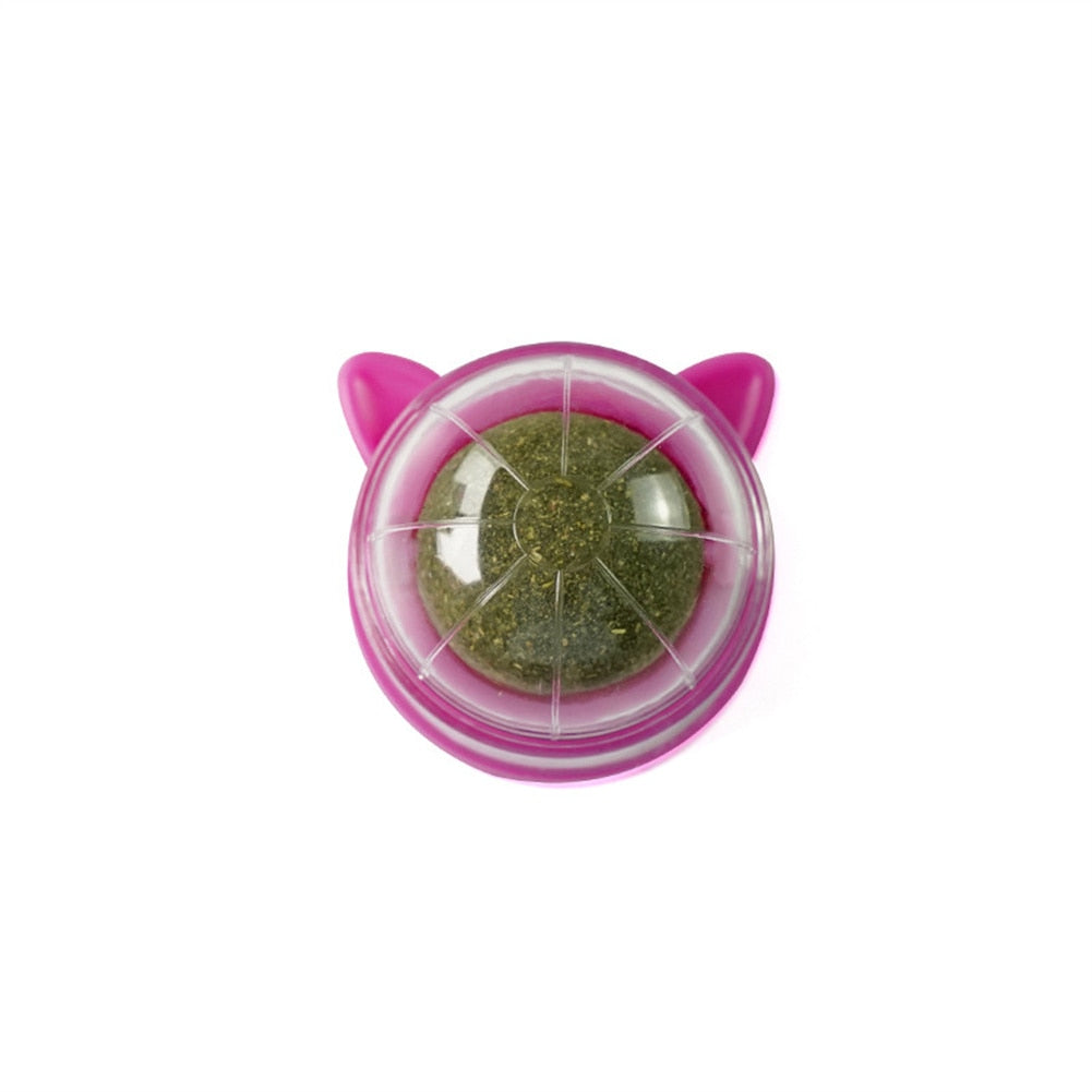 100% All Natural Catnip Wall Ball to Clean Mouths & Promote Digestion