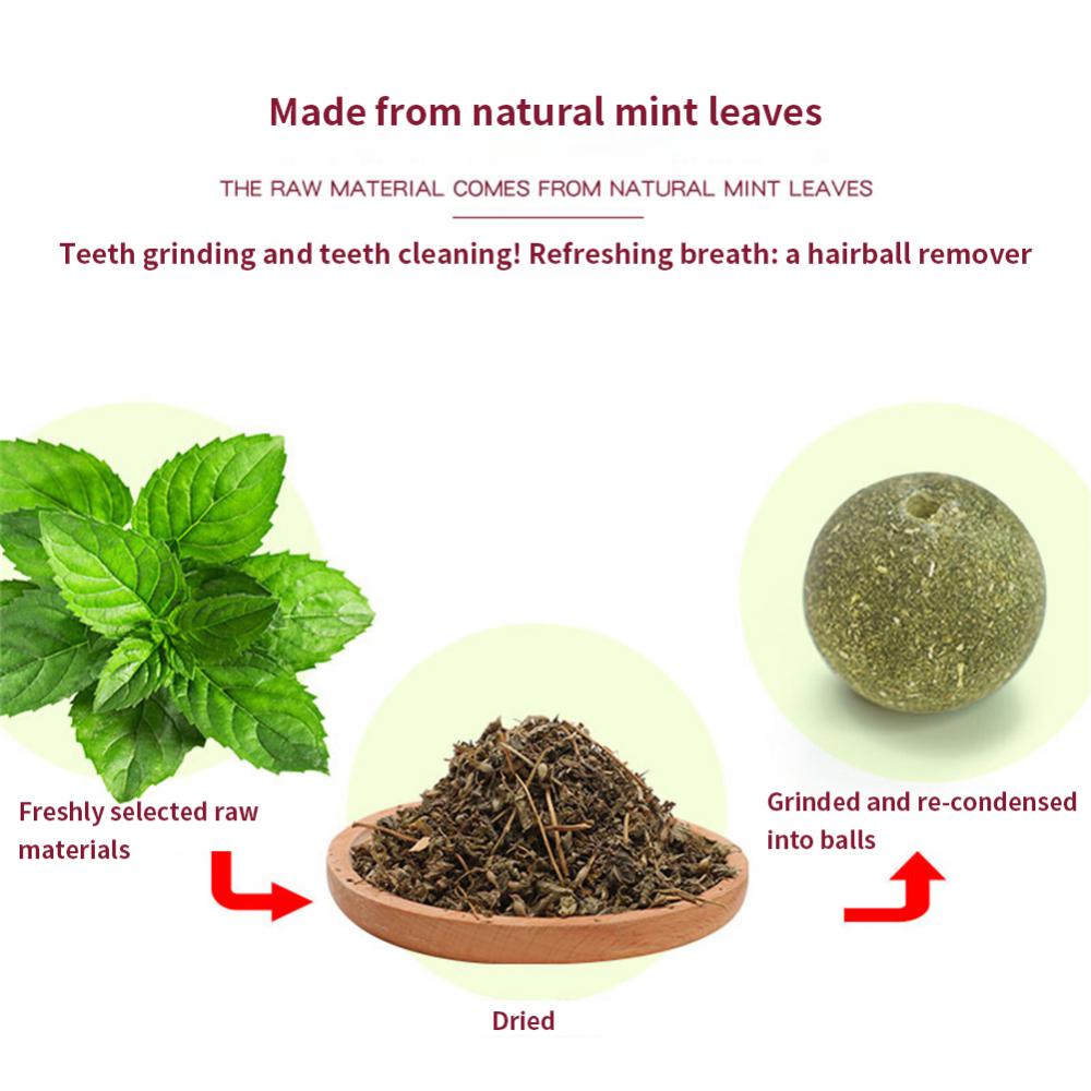 100% All Natural Catnip Wall Ball to Clean Mouths & Promote Digestion