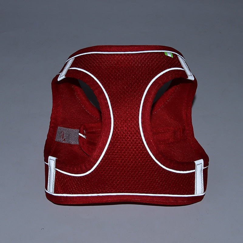 Dog Harness & Lead Set for Small Dogs Fully Adjustable