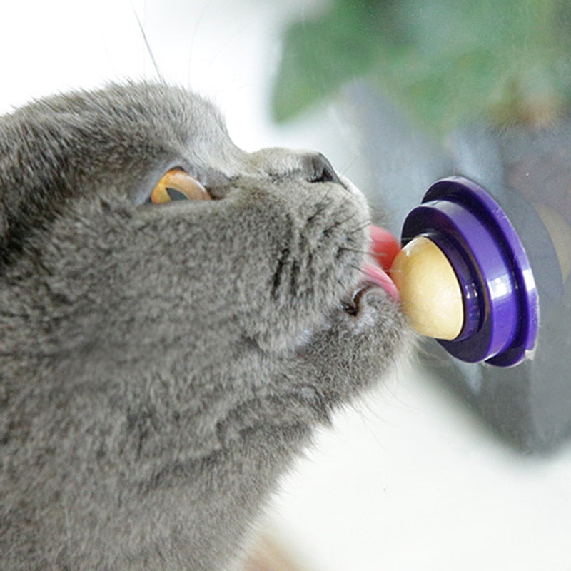 100% All Natural Catnip Wall Ball to Clean Mouths & Promote Digestion