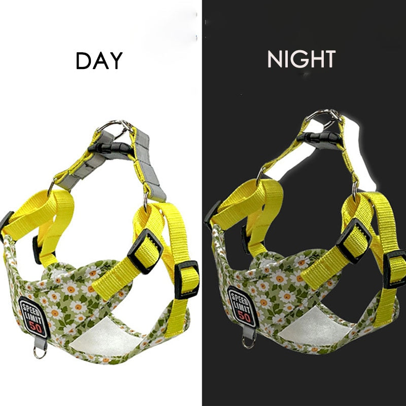 No Pull Dog Harness & Lead Set for Small Medium Dogs with Reflective Harness Vest