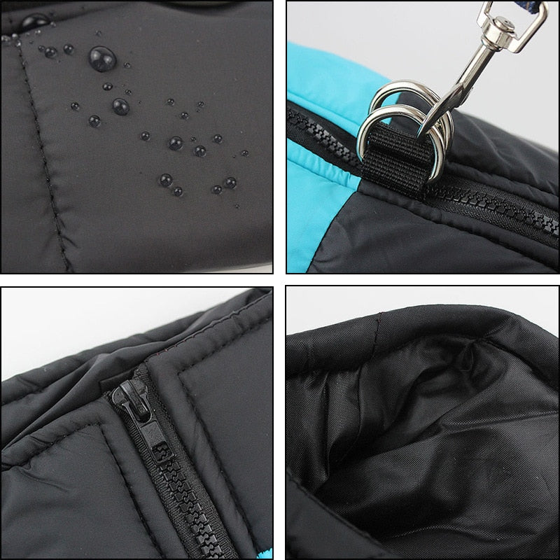 The Dog Face Waterproof Warm Dog Padded Zipper Jacket
