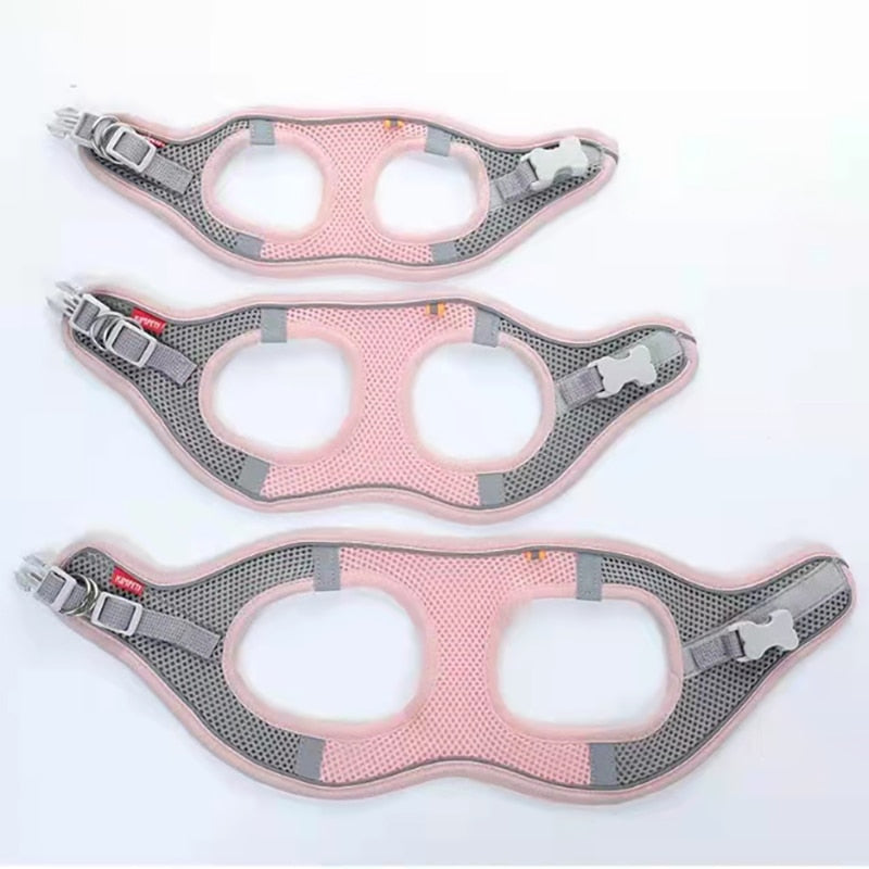 Dog Harness & Lead Reflective Breathable Adjustable for Small Medium Dogs