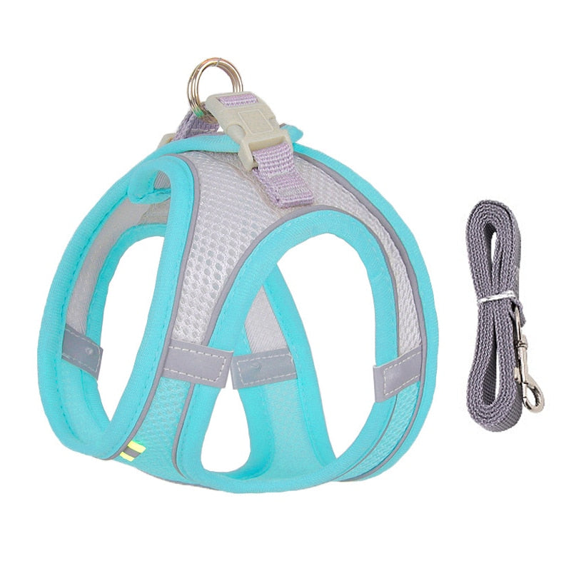 Dog Harness & Lead Set for Small Dogs Fully Adjustable