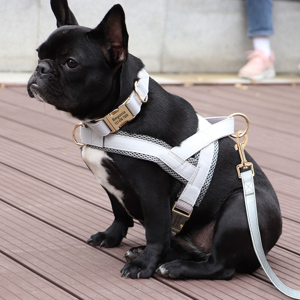 Customized Leather Dog Collar, Harness & Lead Set Personalised For Small Medium Large Dogs