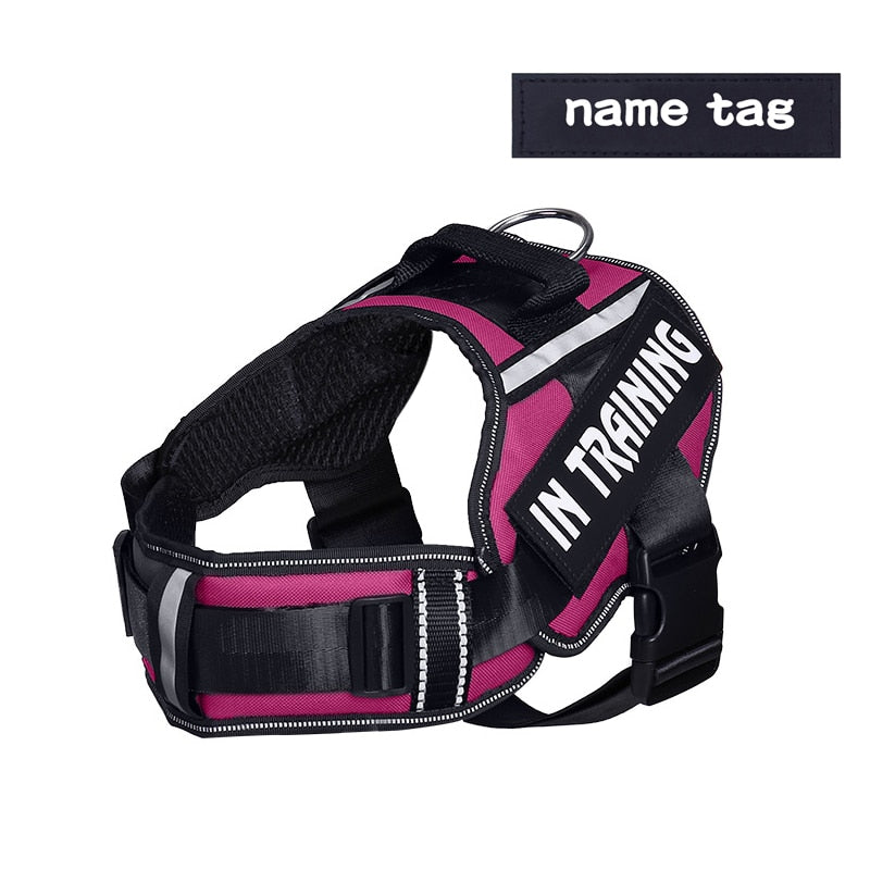 Personalised And Reflective Adjustable Dog Harness(Sizes: S-XL)