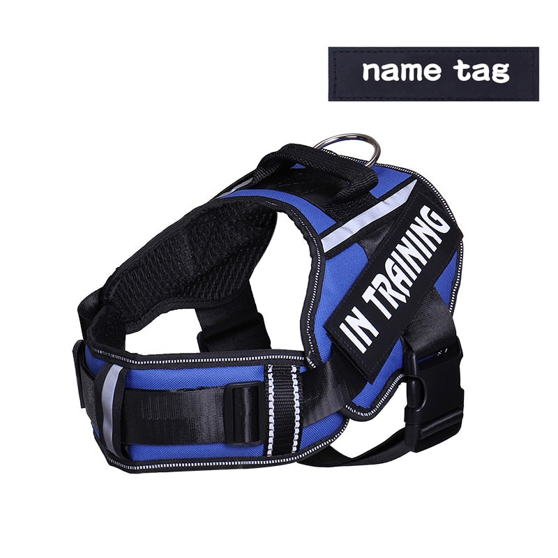 Personalised And Reflective Adjustable Dog Harness(Sizes: S-XL)