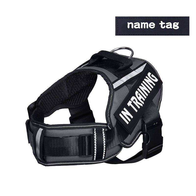 Personalised And Reflective Adjustable Dog Harness(Sizes: S-XL)