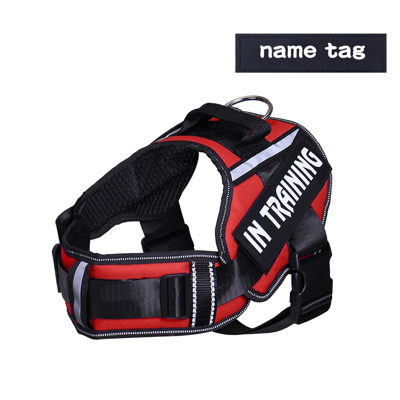 Personalised And Reflective Adjustable Dog Harness(Sizes: S-XL)