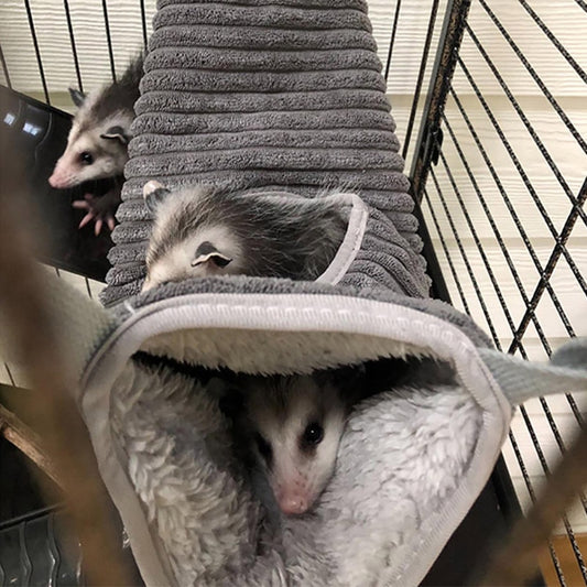 Winter Warm Hammock Tunnel For Small Animals