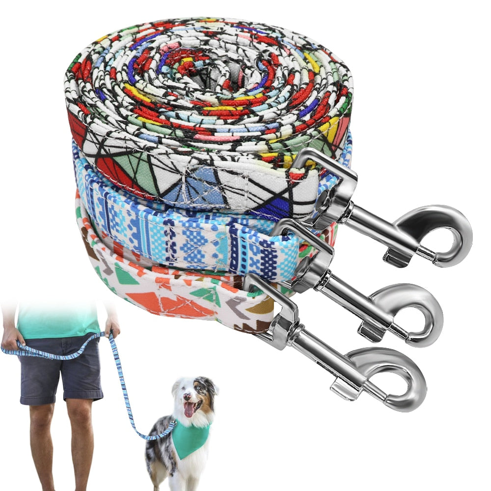 Thick Nylon Printed Dog Lead