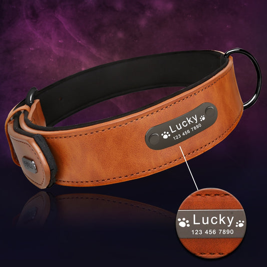 Personalised Leather Collar for Dogs(Available in a range of sizes and colours)