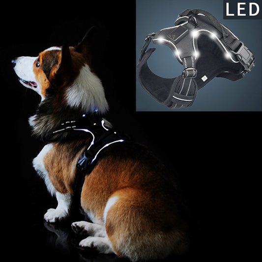 Dogs LED Harness with Flashing Light for Safety