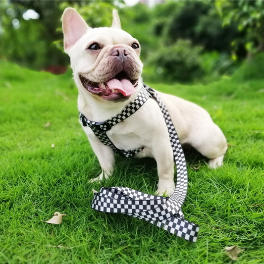 No Pull Dog Harness Adjustable Basic Nylon Step in Puppy & Dog Vest