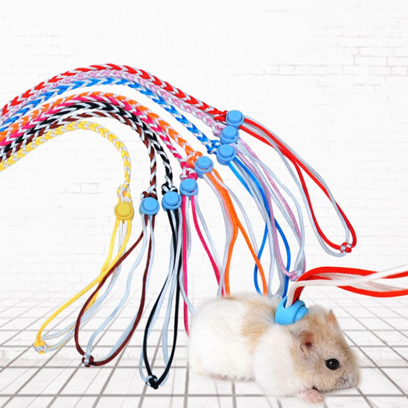 Hamster harness hot sale and leash