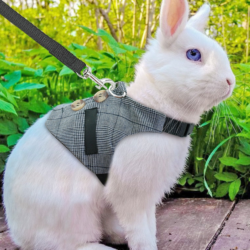 Stylish Waistcoat Harness for Small Dogs, Cats and Other Small Pets