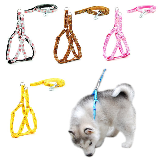 Dog Harness and Lead Adjustable Collar