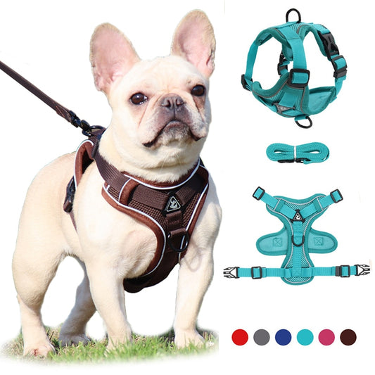 No Pull Dog Harness and Lead Set Adjustable Vest For Small Dogs with Reflective Mesh