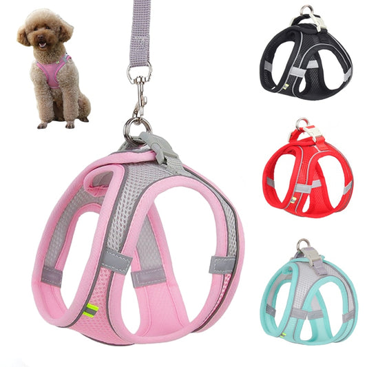 Dog Harness & Lead Set for Small Dogs Fully Adjustable