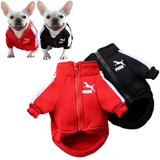 Tracksuit Style Winter Jacket For Small And Medium Dogs